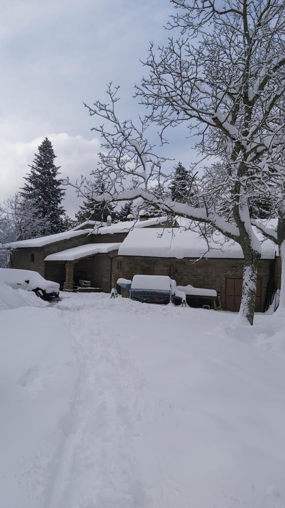 Ferienhaus So Magic - La Casa Nel Bosco *