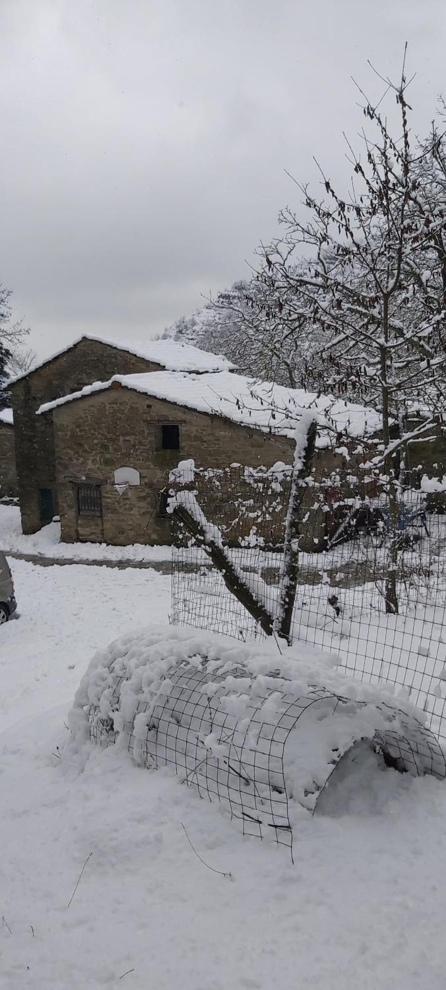 Holiday home So Magic - La Casa Nel Bosco San Godenzo